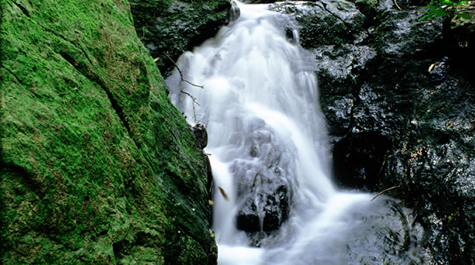 Ruscello nel fosso S.Antonio