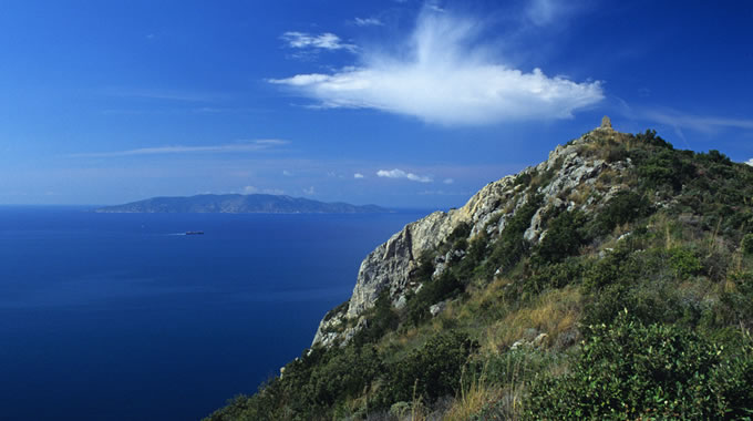 Capo D'Omo