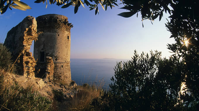 Torre Ciana