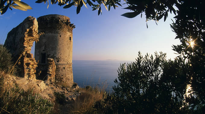 Ciana tower